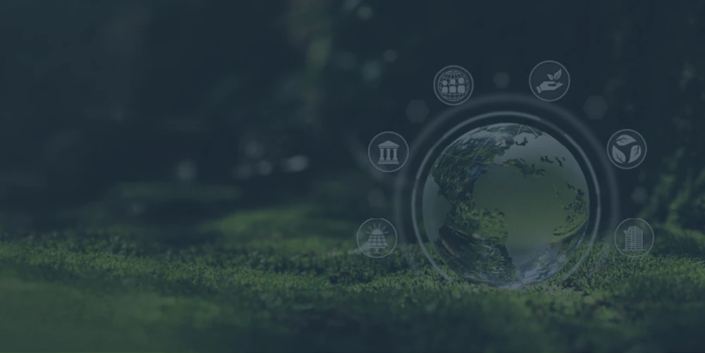 Related Solutions – Corporate Social Responsibility